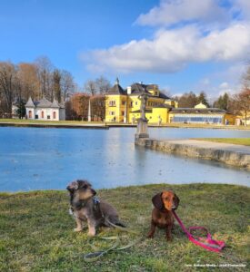 Burgen und Schlösser in Salzburg