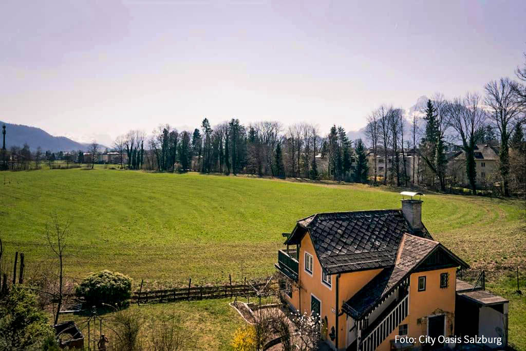 Auf Wolke 7 in Salzburg: City Oasis Salzburg