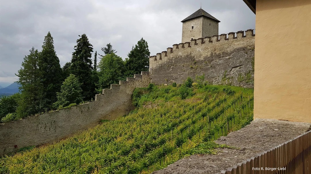 Weinbau Museum Salzburg