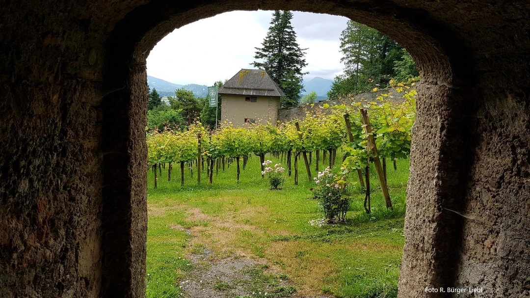 Weinbau Museum Salzburg